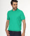 Polo Shirt Regular Fit Knitted Green