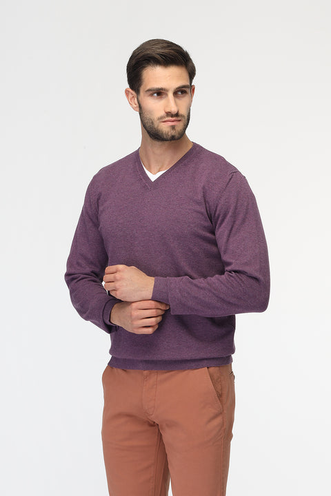 Regular Fit Pullover V Purple