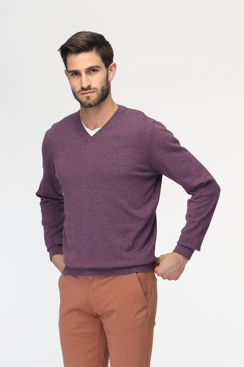 Regular Fit Pullover V Purple
