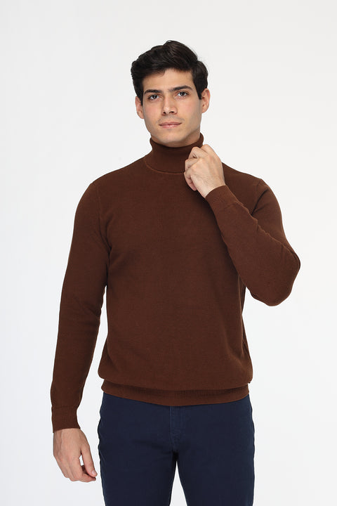 Regular Fit Pullover Brown
