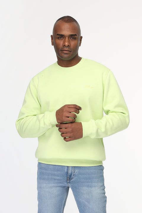 Regular Fit Sweat Shirt Light Green