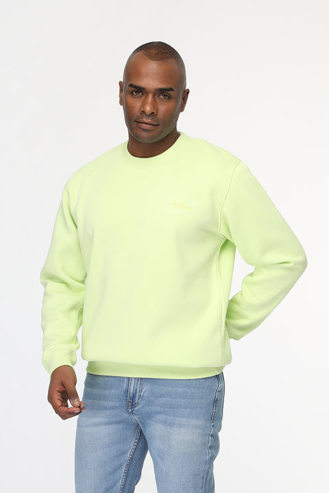 Regular Fit Sweat Shirt Light Green