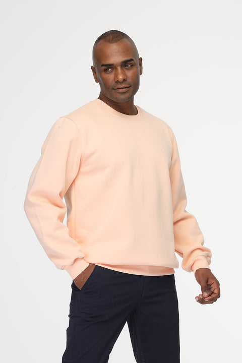 Regular Fit Sweat Shirt Orange