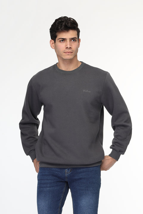 Regular Fit Sweat Shirt Gray