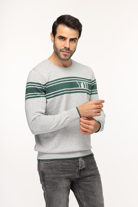 Regular Fit Pullover Gray