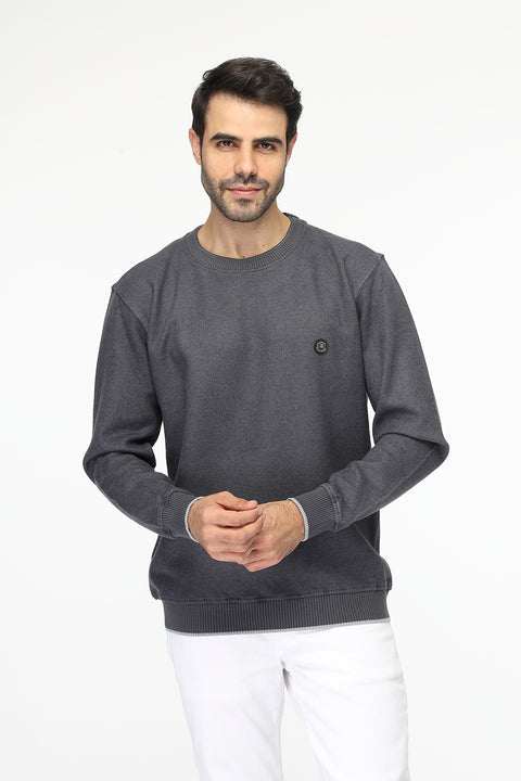 Regular Fit Sweat Shirt Gray