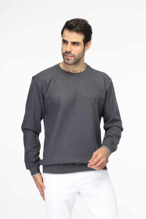 Regular Fit Sweat Shirt Gray