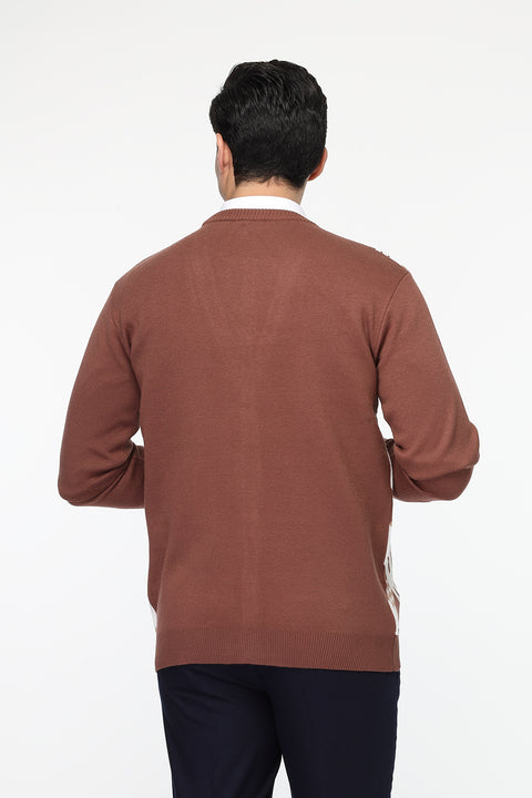 Regular Fit Pullover Brown
