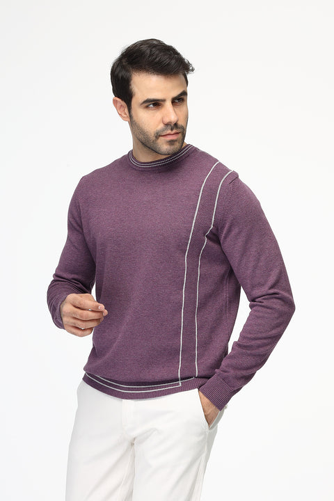 Regular Fit Pullover Purple