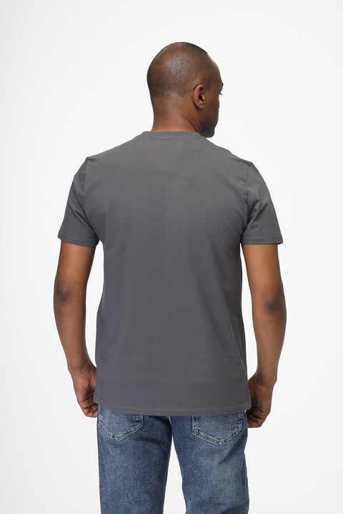 Regular Fit T-Shirt V Gray