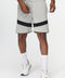 Regular Fit Sports Short Gray