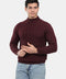 Regular Fit Pullover Maroon