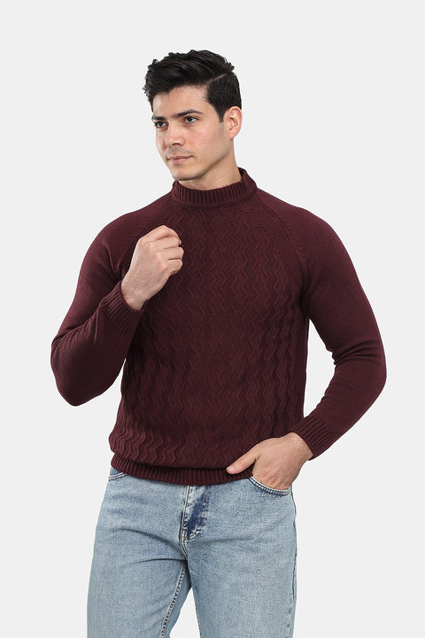 Regular Fit Pullover Maroon