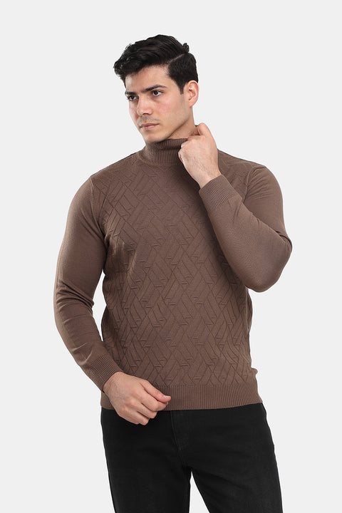 Regular Fit Pullover Brown