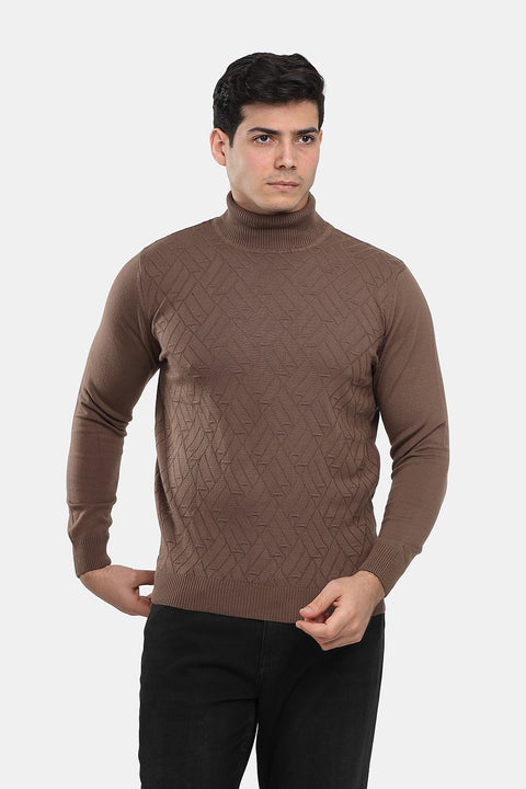 Regular Fit Pullover Brown