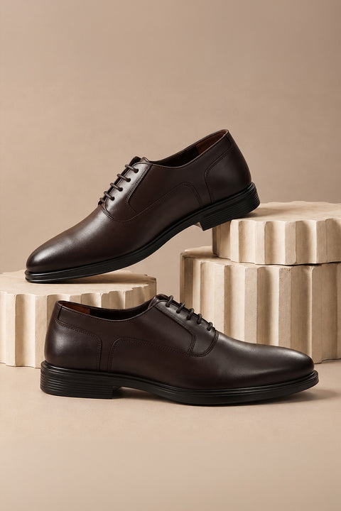 Shoes Classic Brown