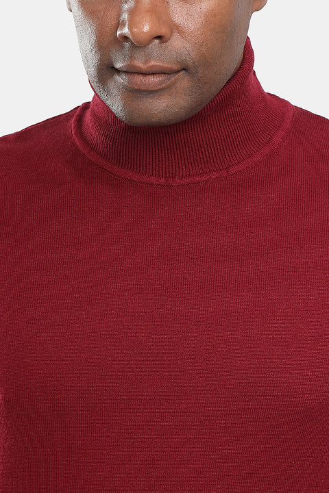 Regular Fit Pullover Maroon
