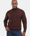 Regular Fit Pullover Brown