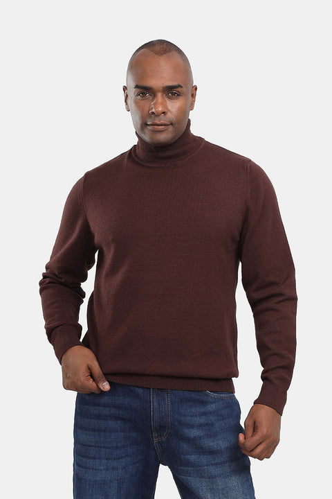 Regular Fit Pullover Brown