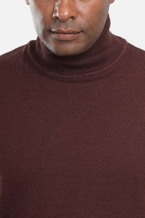 Regular Fit Pullover Brown