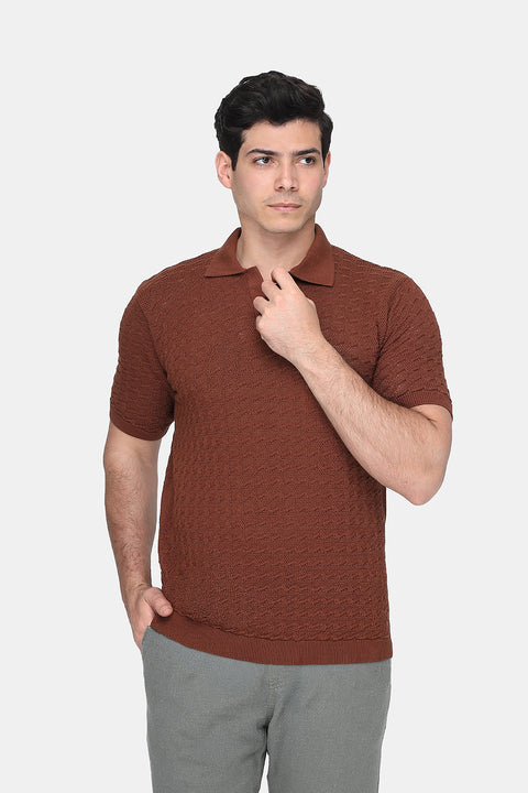 Polo Shirt Regular Fit Knitted Brown