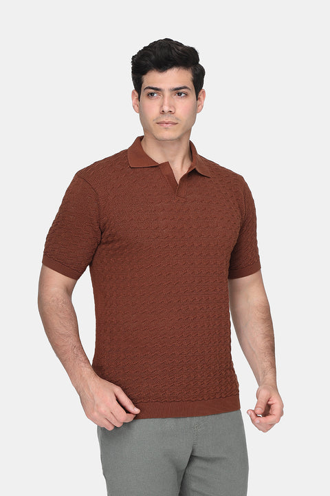 Polo Shirt Regular Fit Knitted Brown