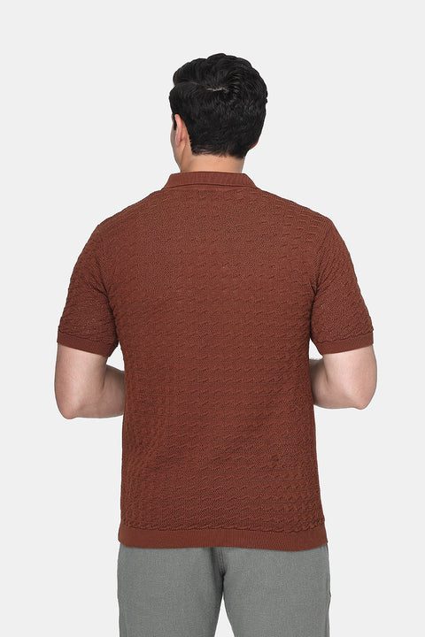 Polo Shirt Regular Fit Knitted Brown