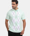 Polo Shirt Regular Fit Knitted Light Green
