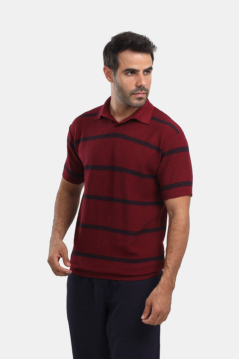 Polo Shirt Regular Fit Knitted Maroon