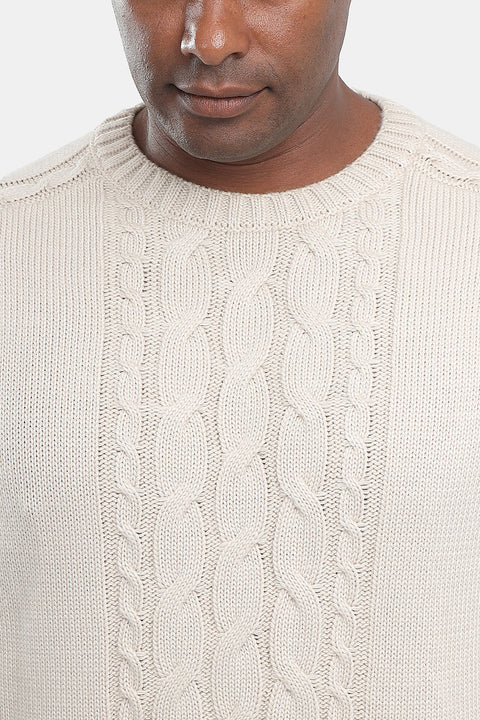 Regular Fit Pullover Beige