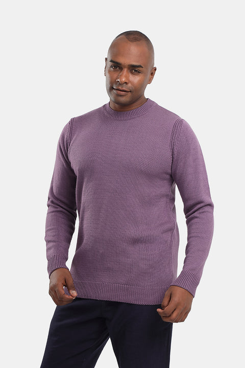 Regular Fit Pullover Purple