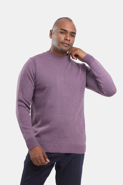 Regular Fit Pullover Purple