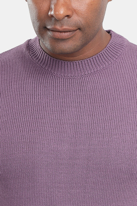 Regular Fit Pullover Purple