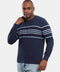 Regular Fit Pullover Dark Blue