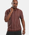 Polo Shirt Regular Fit Brown