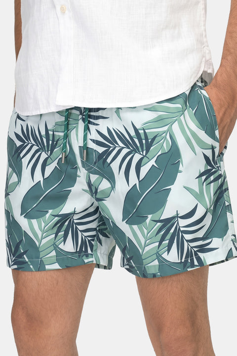 Regular Fit Swim Suit Green