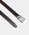 Casual Belt Brown