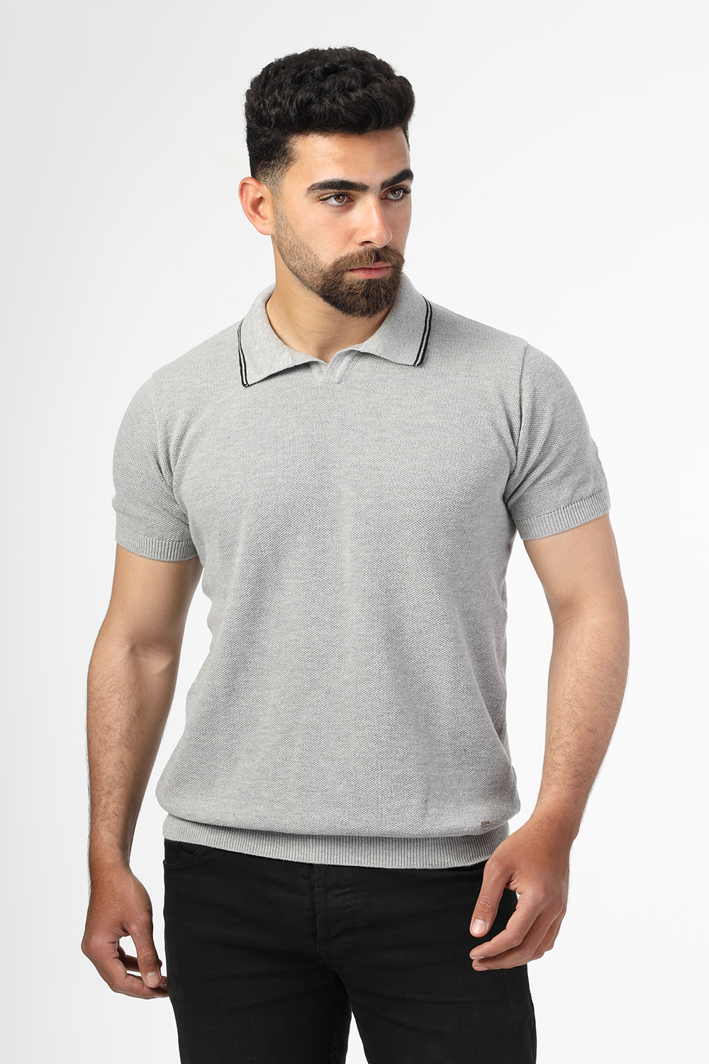 Polo Shirt Regular Fit Knitted Gray - TIE HOUSE
