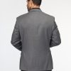 Regular Fit Blazer Gray - Image 4