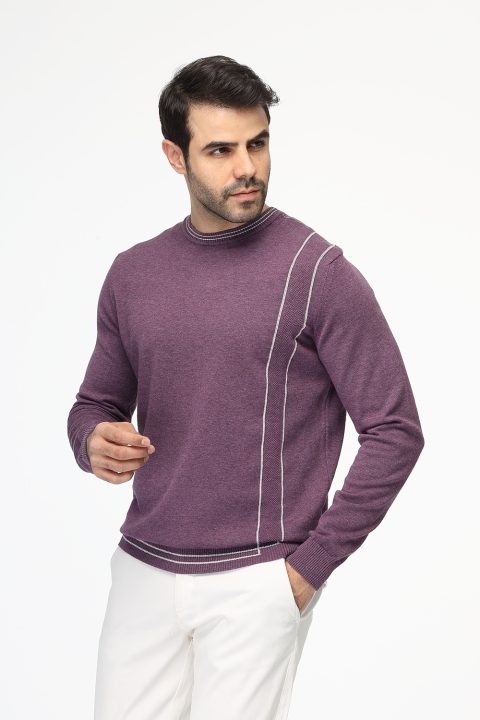 Regular Fit Pullover Purple