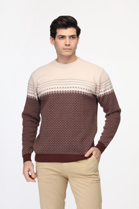 Regular Fit Pullover Brown