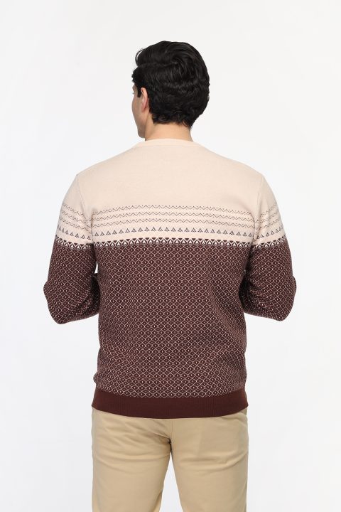 Regular Fit Pullover Brown - Image 4