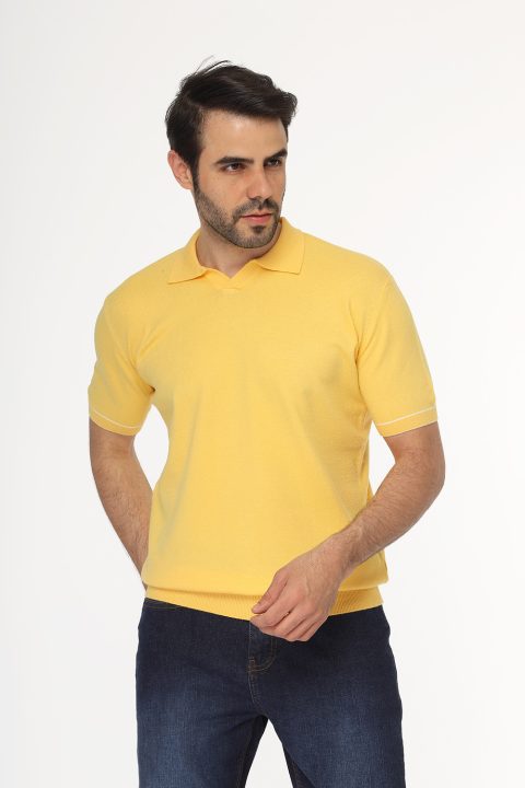 Polo Shirt Regular Fit Knitted Yellow