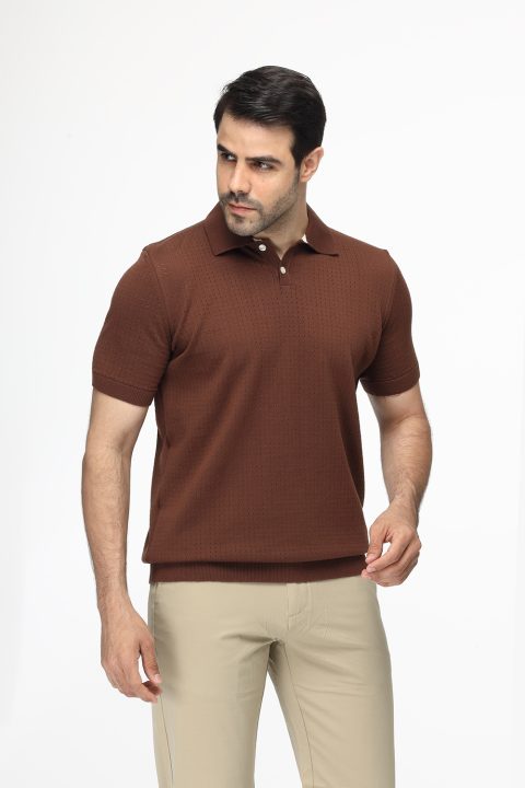 Polo Shirt Regular Fit Knitted Brown
