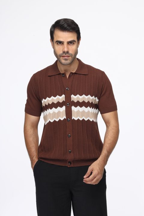 Polo Shirt Regular Fit Knitted Brown